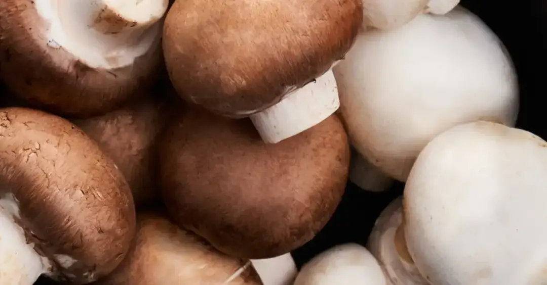 Kiedy jest sezon na pieczarki? Sprawdź, by nie przegapić zbiorów