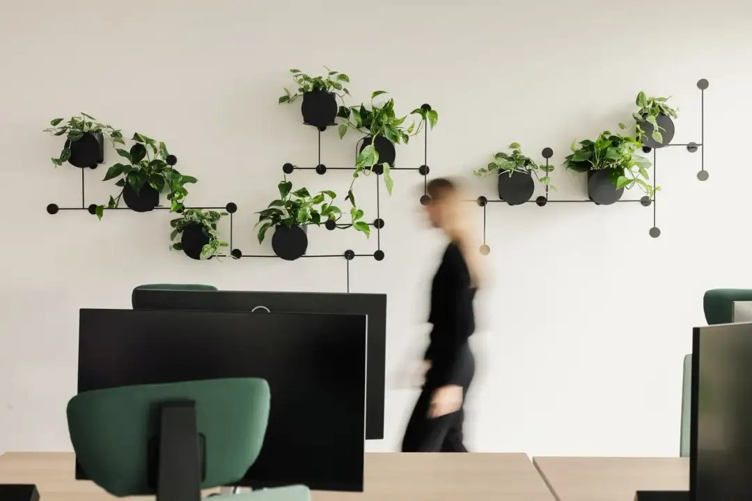 Jakie kwiaty do kwietnika? Poznaj najlepsze rośliny na każdą porę roku