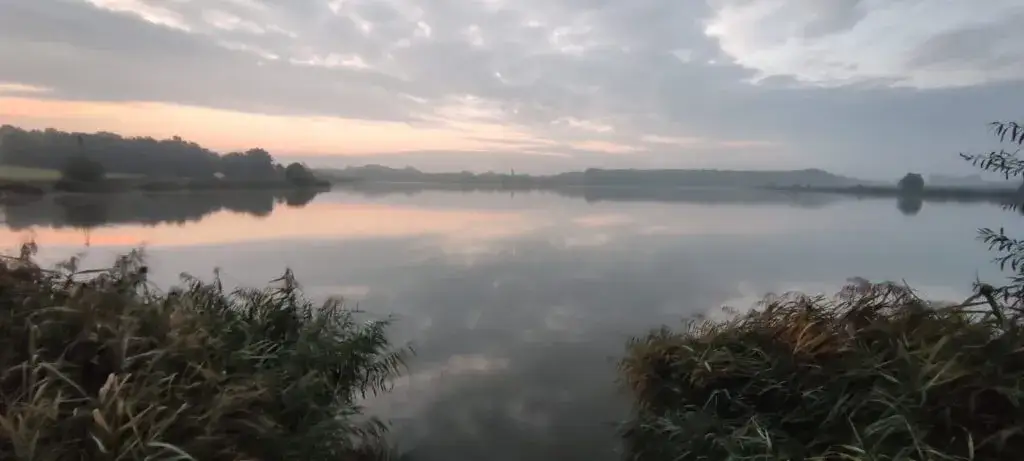 Łowisko Goldfish Manieczki: najlepsze miejsce na wędkowanie w regionie