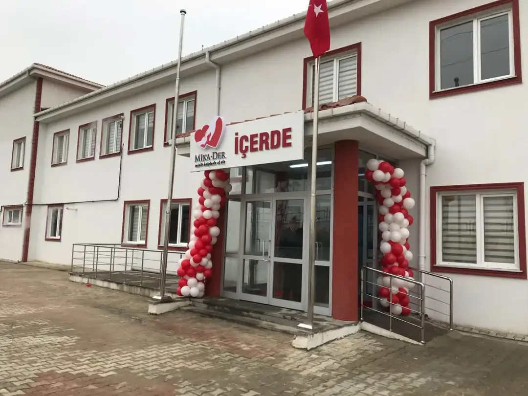 Braterska rozgrywka ile odcinków - Wszystko o serialu Içerde w Polsce