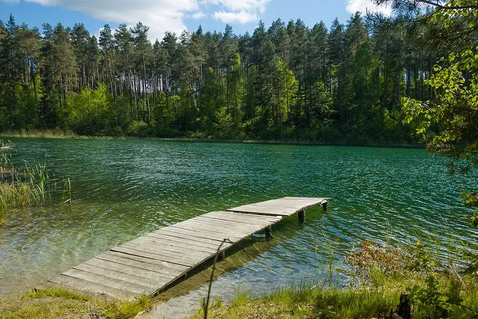 Rezerwat przyrody Puszcza Słupecka - unikalne bogactwo przyrody i ochrona