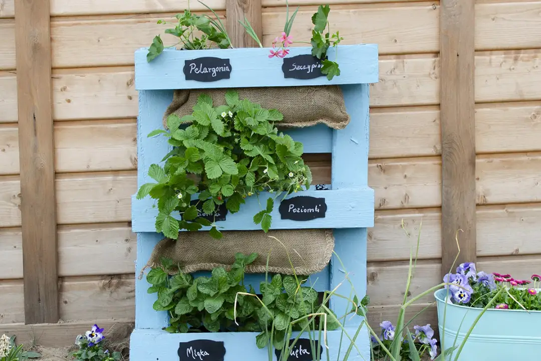 Jak zrobić kwietnik z europalety: 7 prostych kroków DIY