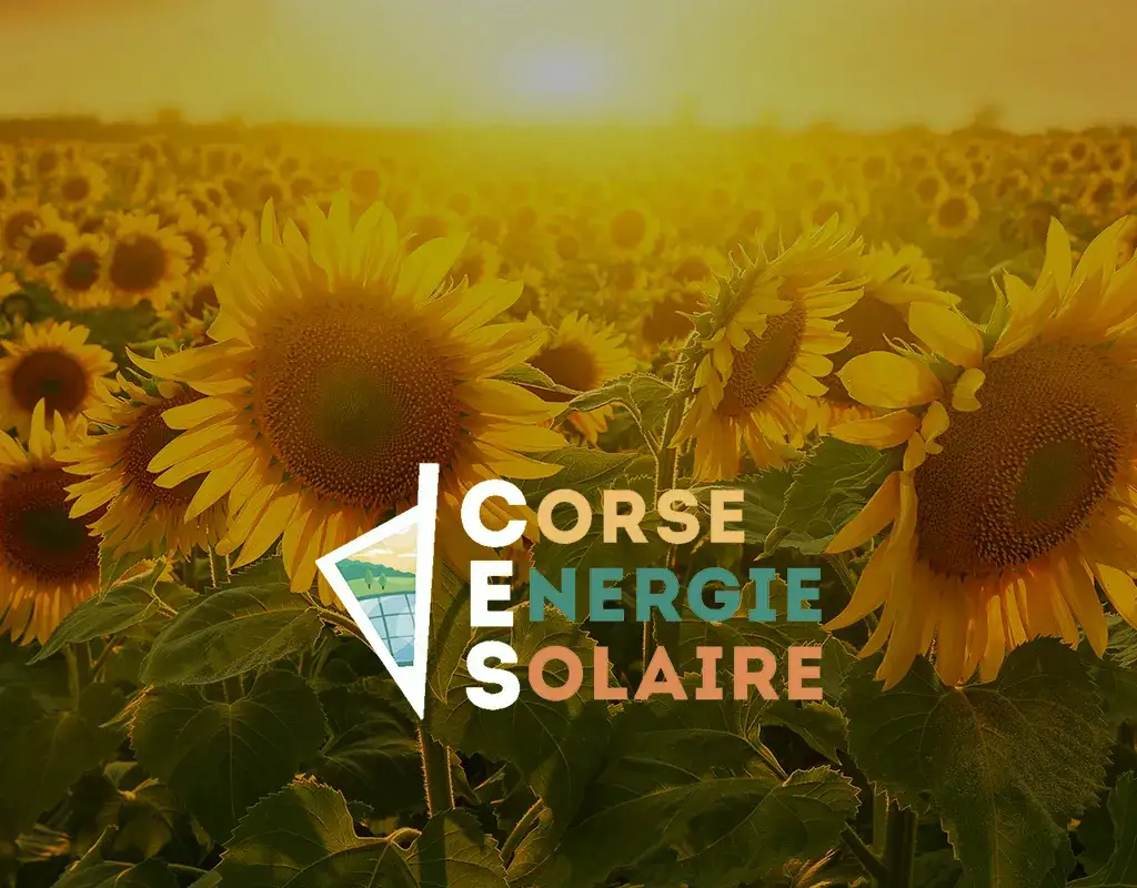Solutions innovantes pour l'énergie solaire en Corse et économies garanties