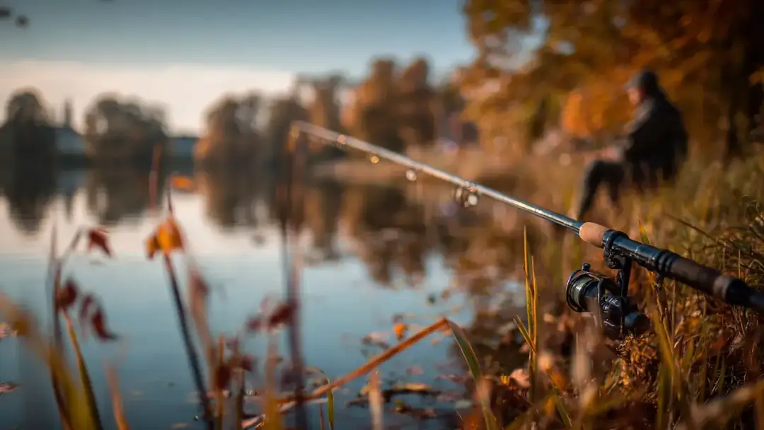 Angeln in Sachsen ohne Angelschein: Die besten Orte ohne Lizenz