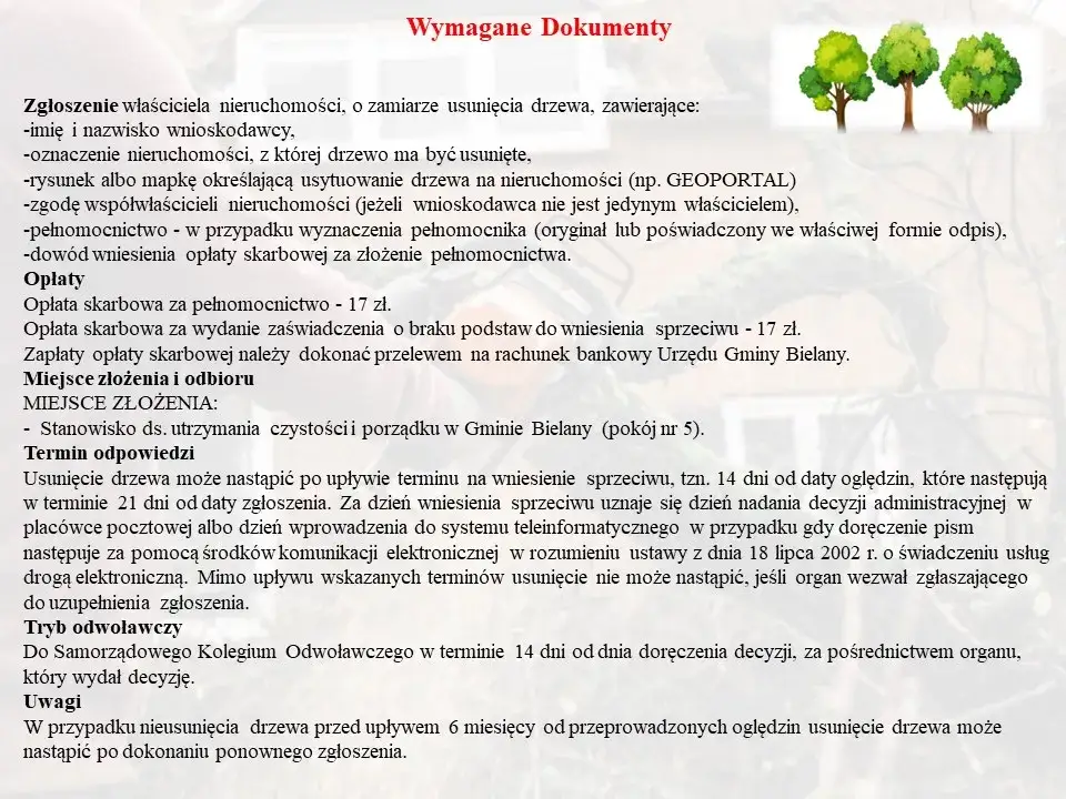 Jak uzasadnić wniosek o wycięcie drzewa, aby uniknąć problemów?