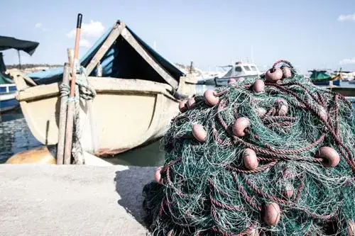 łowisko na ryby prądki - idealne miejsce na spokojne wędkowanie
