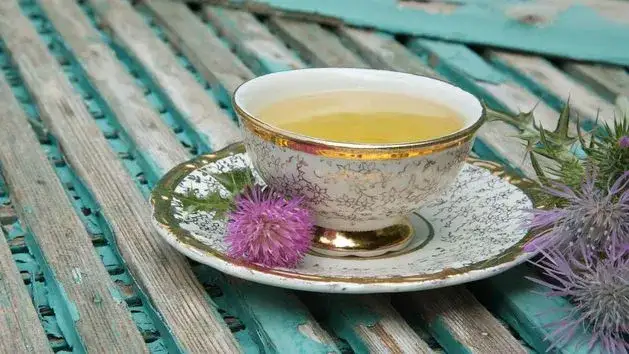 Jak zrobić napar z ostropestu: prosty sposób na regenerację wątroby