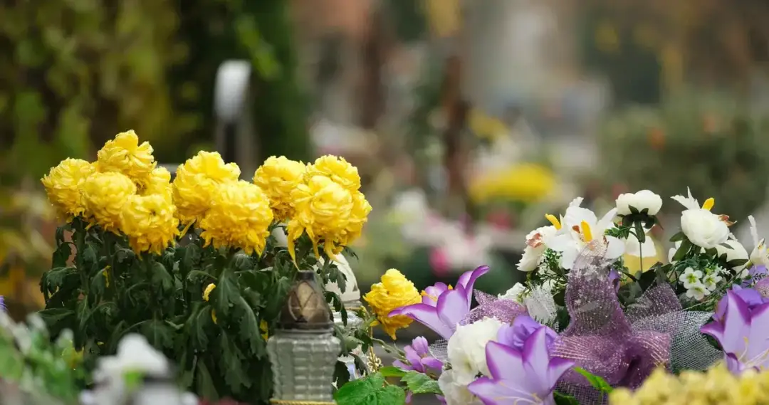 Jakie kwiaty na cmentarz latem? Wybierz piękne i trwałe rośliny