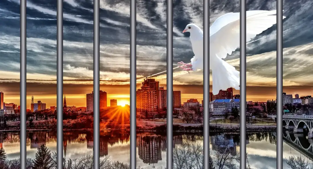 Jak uniknąć więzienia po wyroku? Sprawdź skuteczne strategie i porady