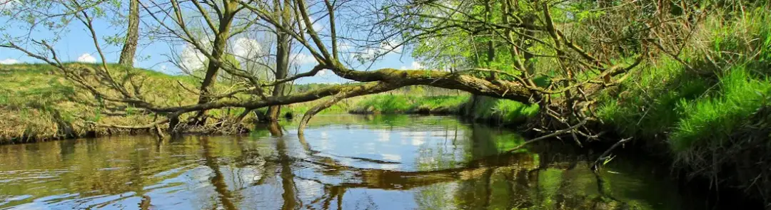 Spływ kajakowy Grabia: najlepsze trasy dla każdego poziomu umiejętności