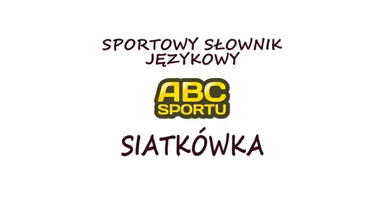 Słownik siatkarski: poznaj znaczenie wszystkich terminów w siatkówce