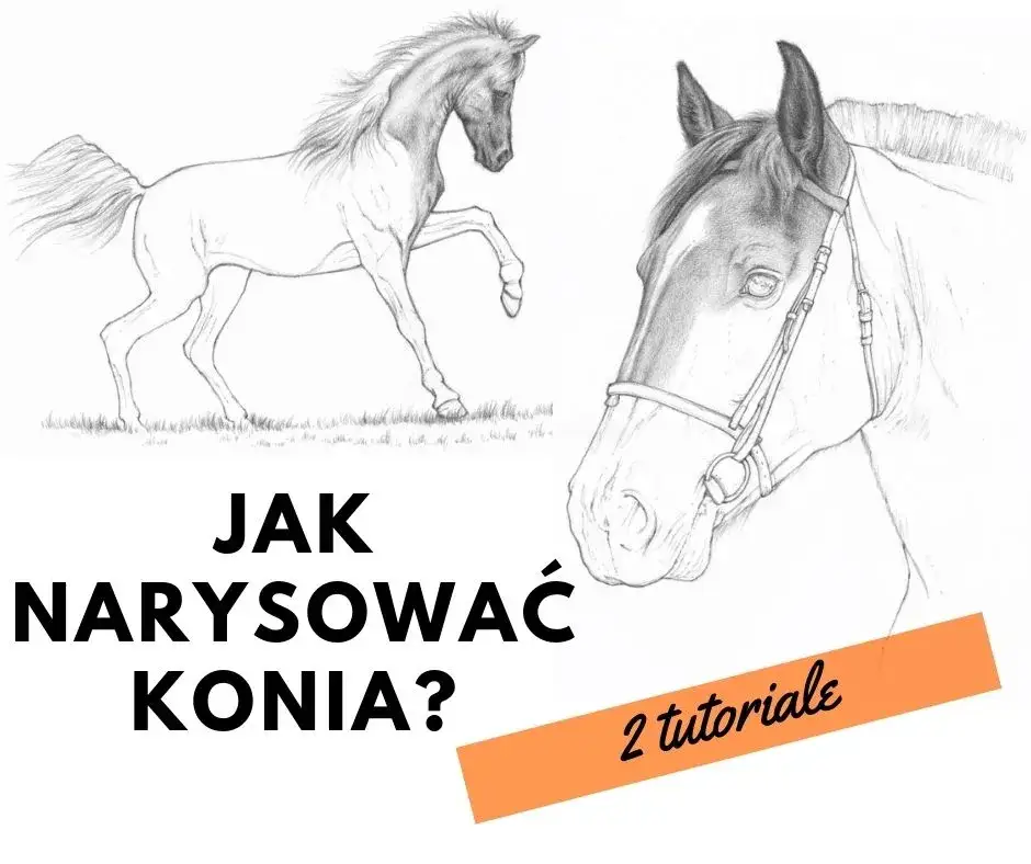 Jak narysować konie: proste techniki dla początkujących rysowników