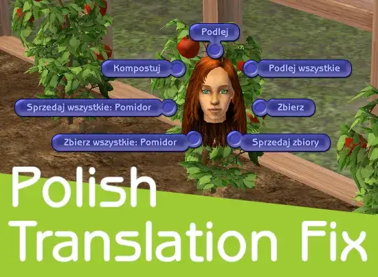 Jak poprawnie zainstalować spolszczenie do The Sims 2 Ultimate Collection