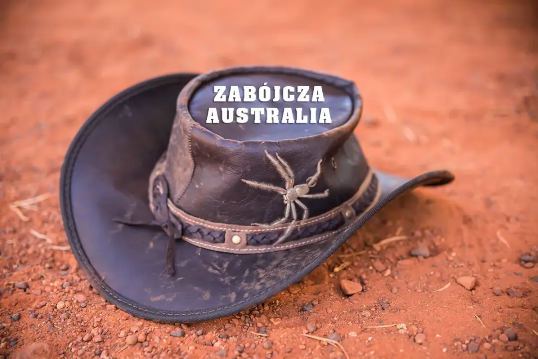 Czy w Australii jest bezpiecznie? Odkryj zagrożenia i bezpieczeństwo