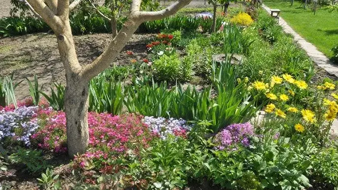 Co posadzić pod jabłonią, aby stworzyć zdrowy i piękny ogród?