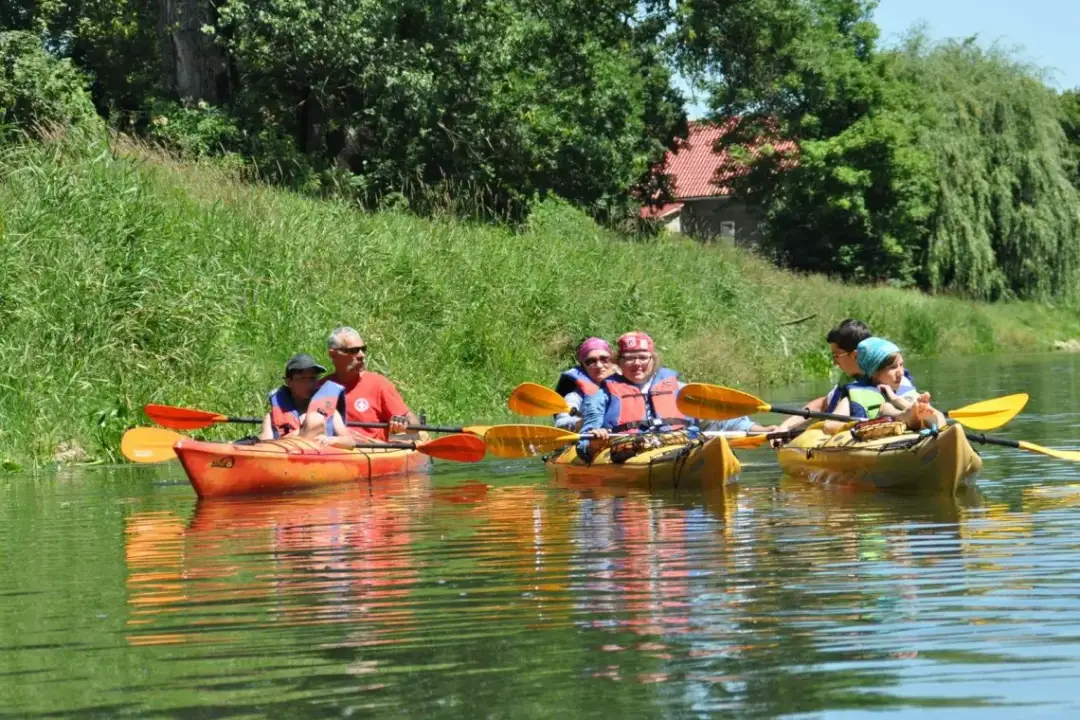 Warta Poznań kajakarstwo: Odkryj pasję i dołącz do mistrzów!