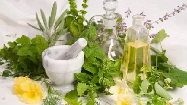 Jak zrobić domowe ekstrakty roślinne? Kompletny przewodnik