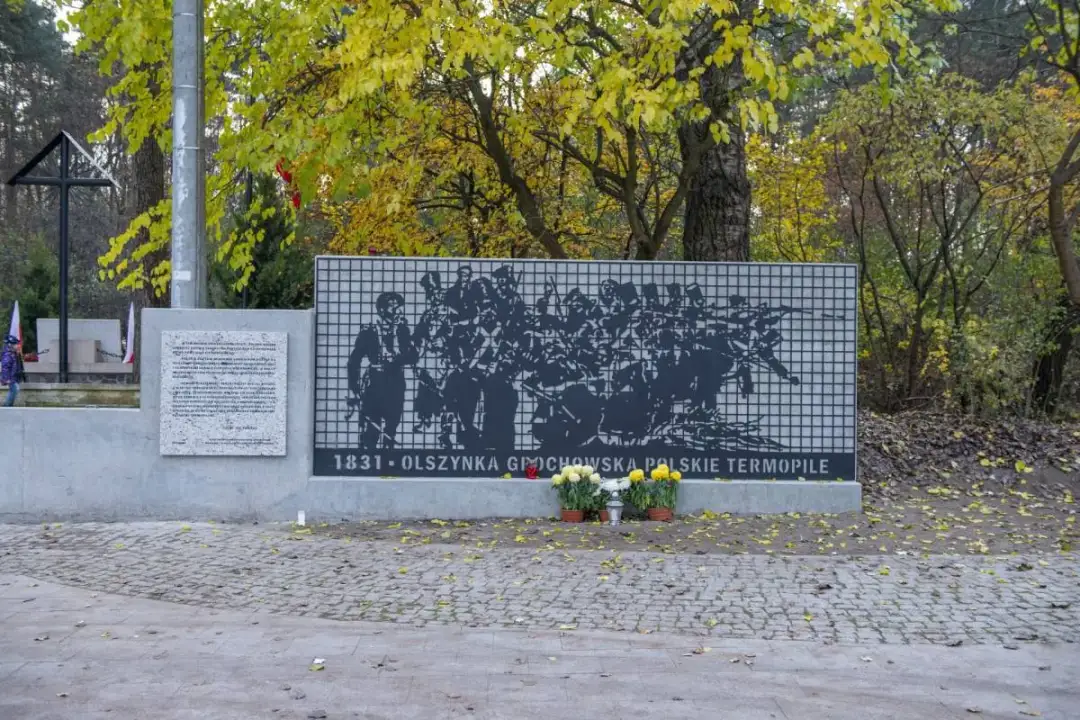 Rezerwat przyrody Olszynka Grochowska - historia, natura i atrakcje