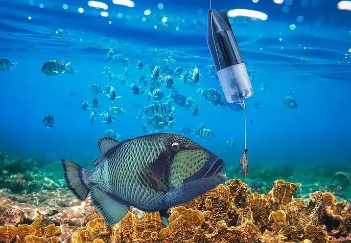 Najlepsza kamera na ryby – wybierz idealny model do wędkowania