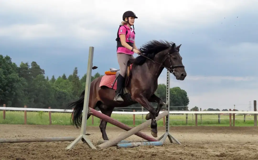 Klub Sportowy Equiright: najlepsze lekcje jazdy konnej w Warszawie