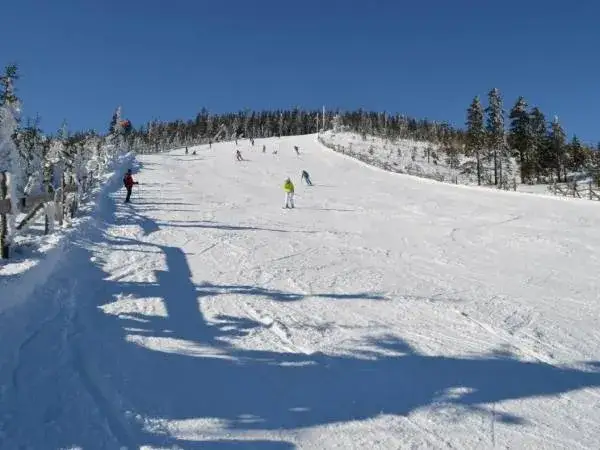 Gdzie najlepiej na snowboard: najlepsze ośrodki w Europie i Polsce