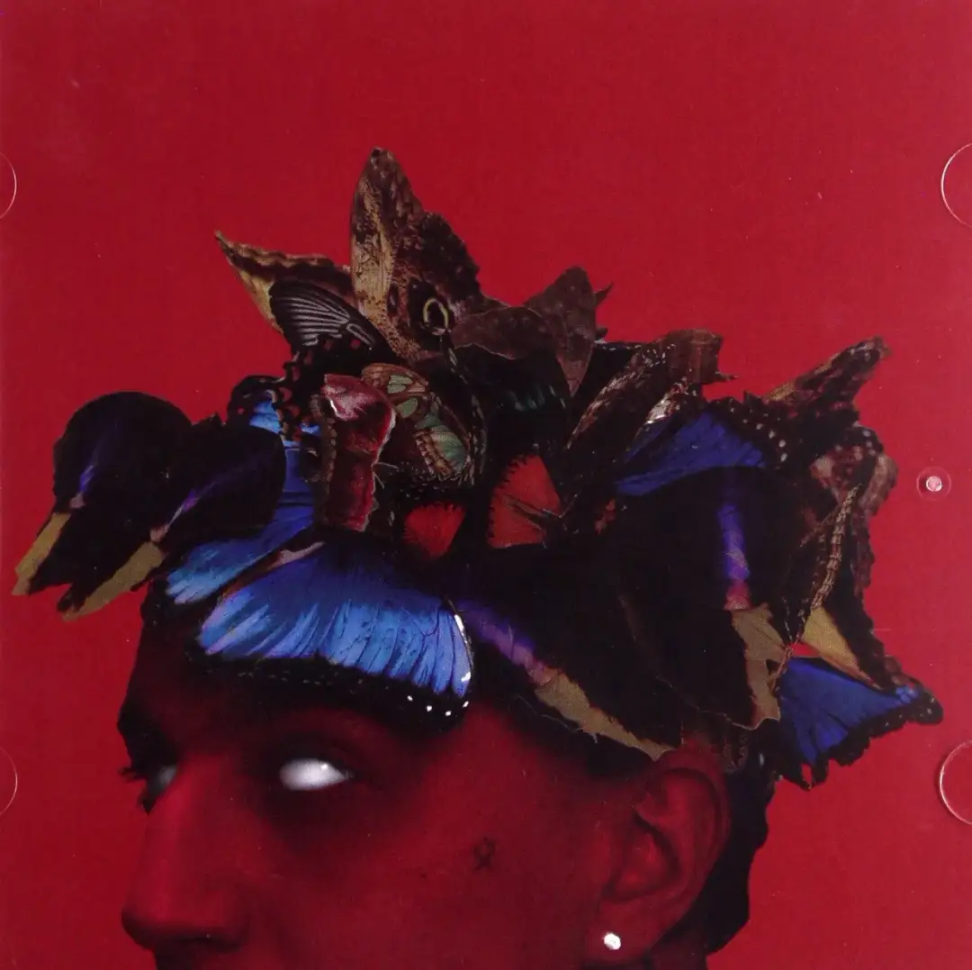 Sobel – Jakie są recenzje i analiza albumu "Pułapka na Motyle"?