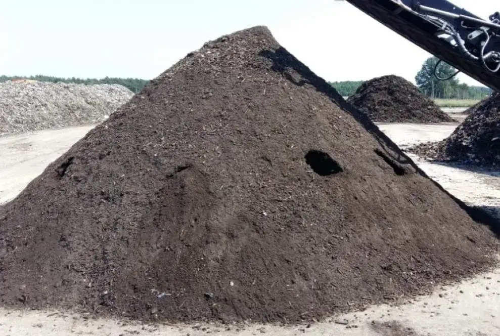 Czym jest recykling organiczny? Korzyści i etapy procesu biodegradacji odpadów