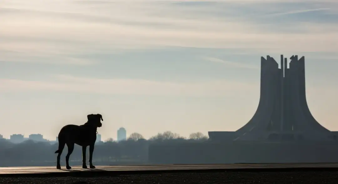 Czy do Auschwitz można wejść z psem? Ważne zasady i ograniczenia