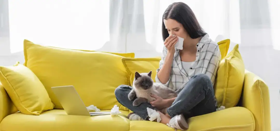 Alergia na kota: objawy u dziecka, które warto znać, aby pomóc