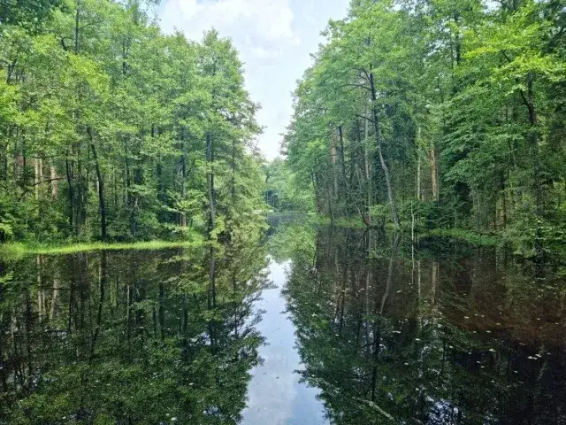 Jezioro Firlej lubelskie - odkryj piękno i atrakcje tego miejsca
