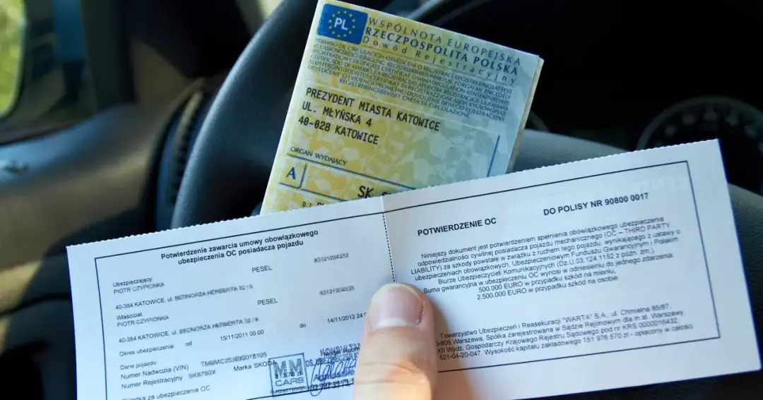 Świadectwo Kierowcy: Kara 5000 zł? Kto Płaci i Jak Uniknąć