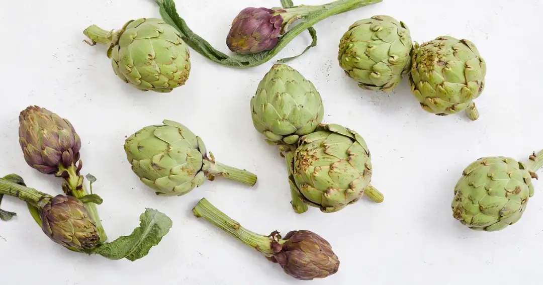 Kiedy jest sezon na karczochy? Poznaj najlepszy czas na świeże smaki