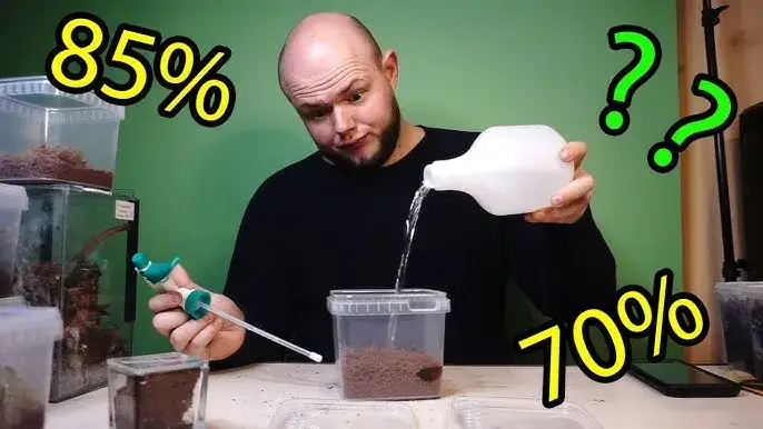 Jak zrobić zraszacz do terrarium, aby uniknąć problemów z wilgotnością