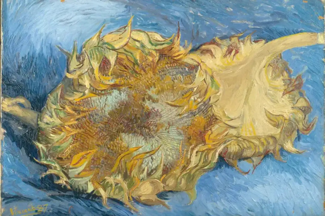 Słoneczniki w malarstwie: ich ukryte znaczenie i historia w sztuce