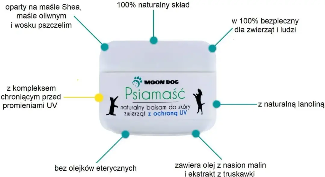 Jak prawidłowo stosować krem z filtrem dla zwierząt - poradnik ochrony pupila