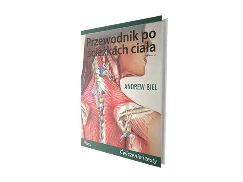Co po medycynie? Pełny przewodnik po ścieżkach kariery i zarobkach