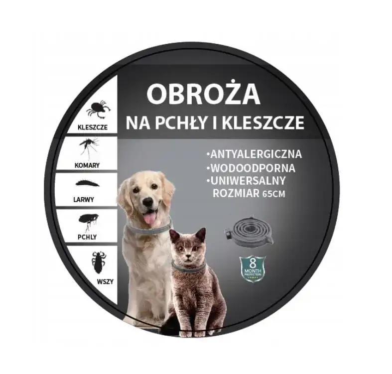 Obroża na pchły dla szczeniaka od kiedy? Sprawdź, by nie zaszkodzić