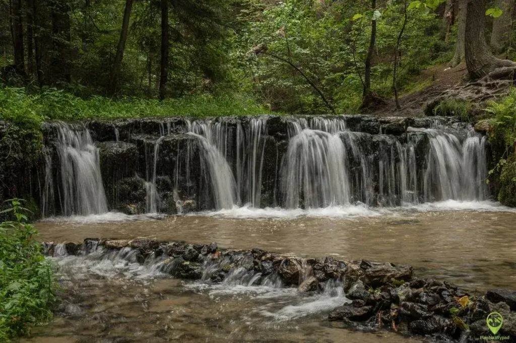 Górecko Kościelne: Odkryj Roztocze! Przewodnik po atrakcjach