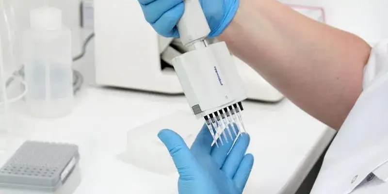 Ile trwa badanie DNA zwłok? Poznaj czynniki wpływające na czas analizy