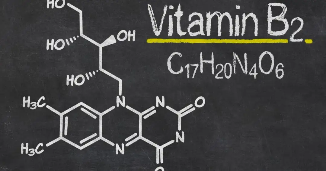 Czy ryboflawina jest wegańska? Odkryj jej źródła i korzyści zdrowotne