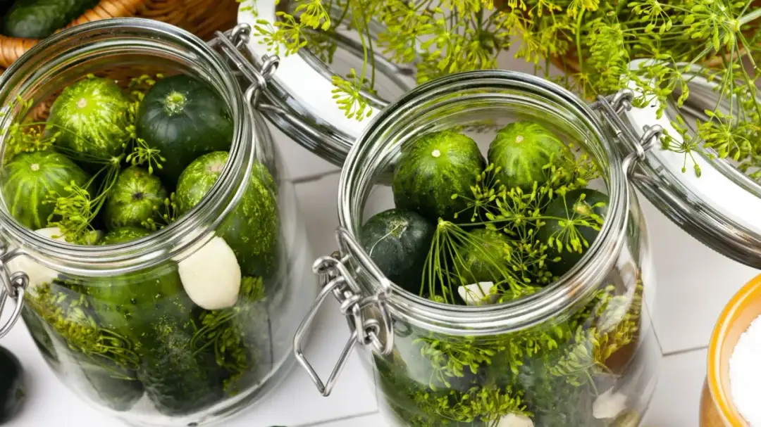 Jak układać ogórki do kiszenia: Prosty przepis na chrupiące przetwory