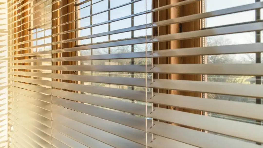 Jak usunąć pleśń z rolet? Skuteczne metody i zapobieganie