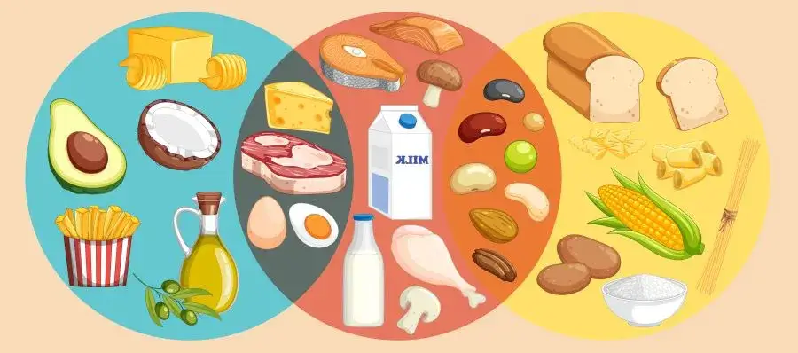 Ile kcal na obiad? Odpowiednia kaloryczność dla zdrowia i diety