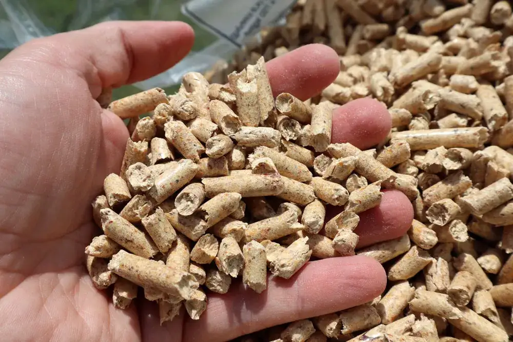 Pellet Barlinek czy Olczyk – który wybór przyniesie większe oszczędności?