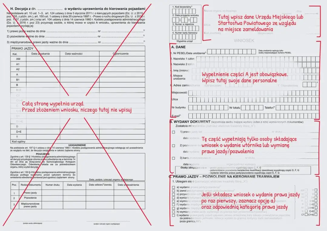 Gdzie jest moje prawo jazdy? Jak szybko znaleźć zgubiony dokument?