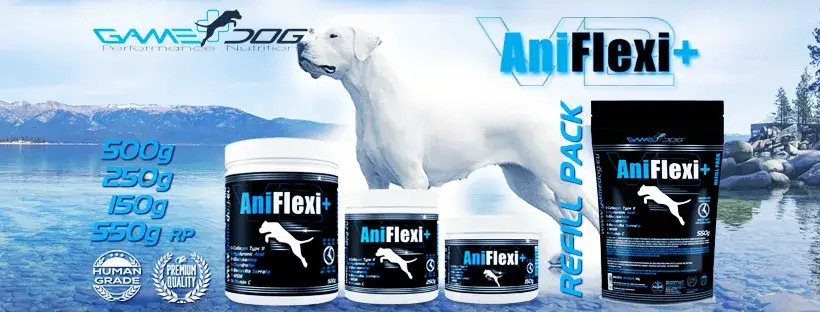 AniFlexi: Skuteczna pomoc dla psów z problemami stawowymi