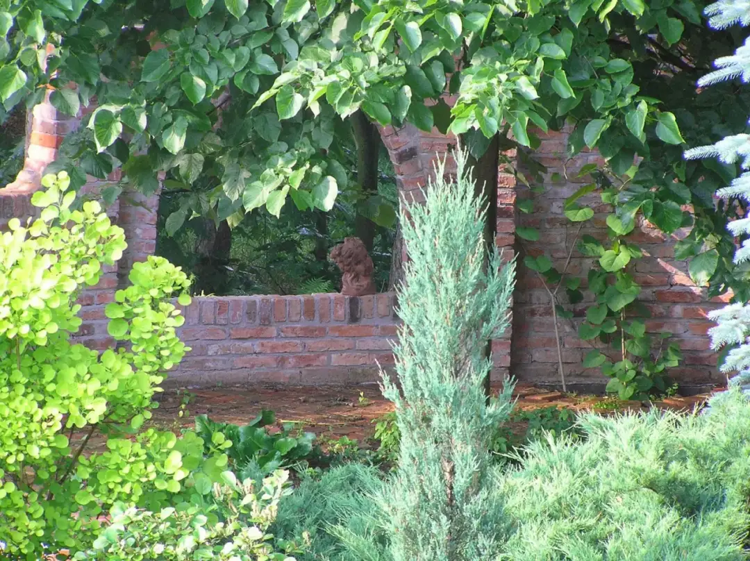 Jak stworzyć piękną ścianę z cegły w ogrodzie: inspiracje i porady