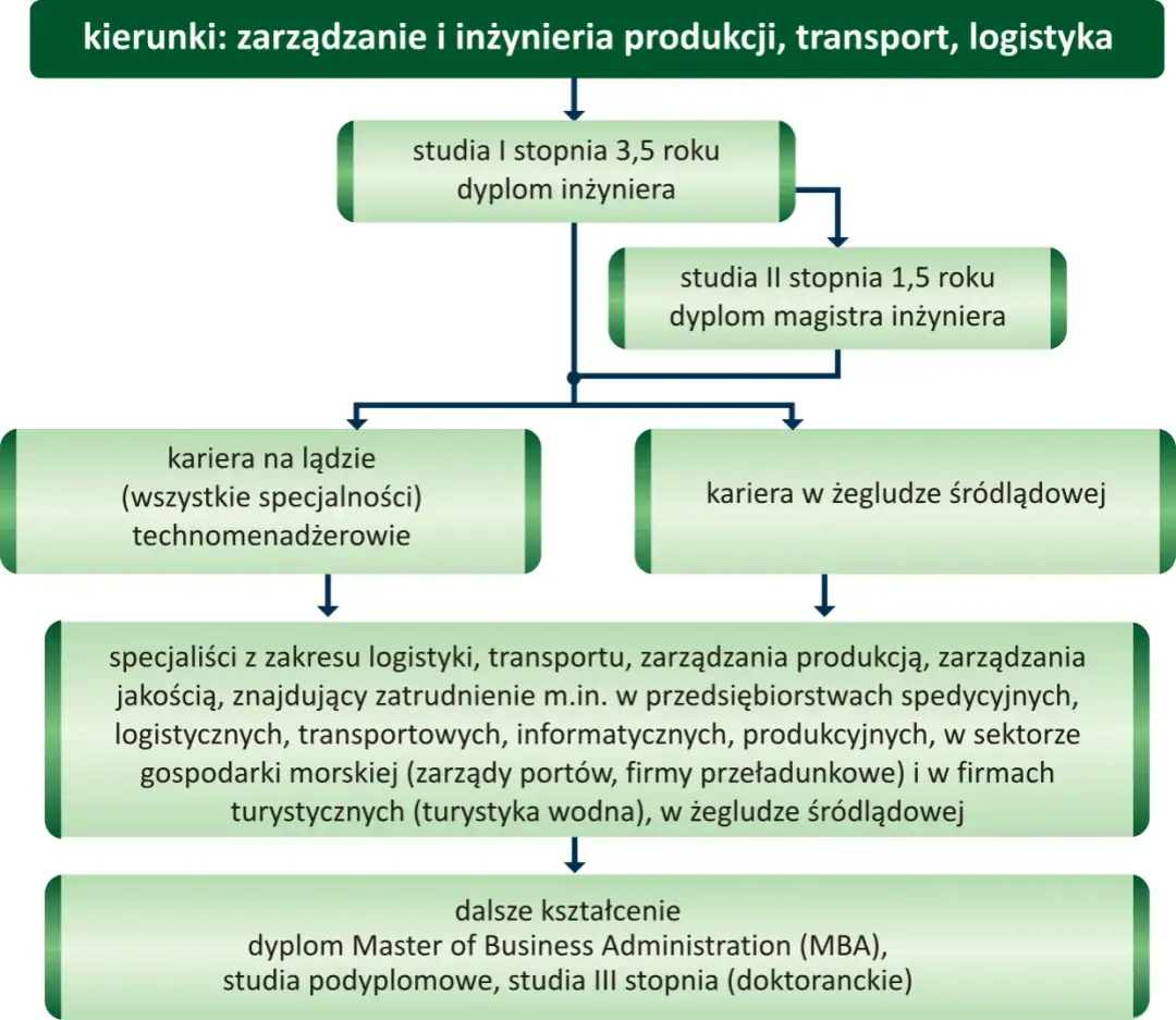 Co można robić po studiach logistycznych? Praca i możliwości kariery
