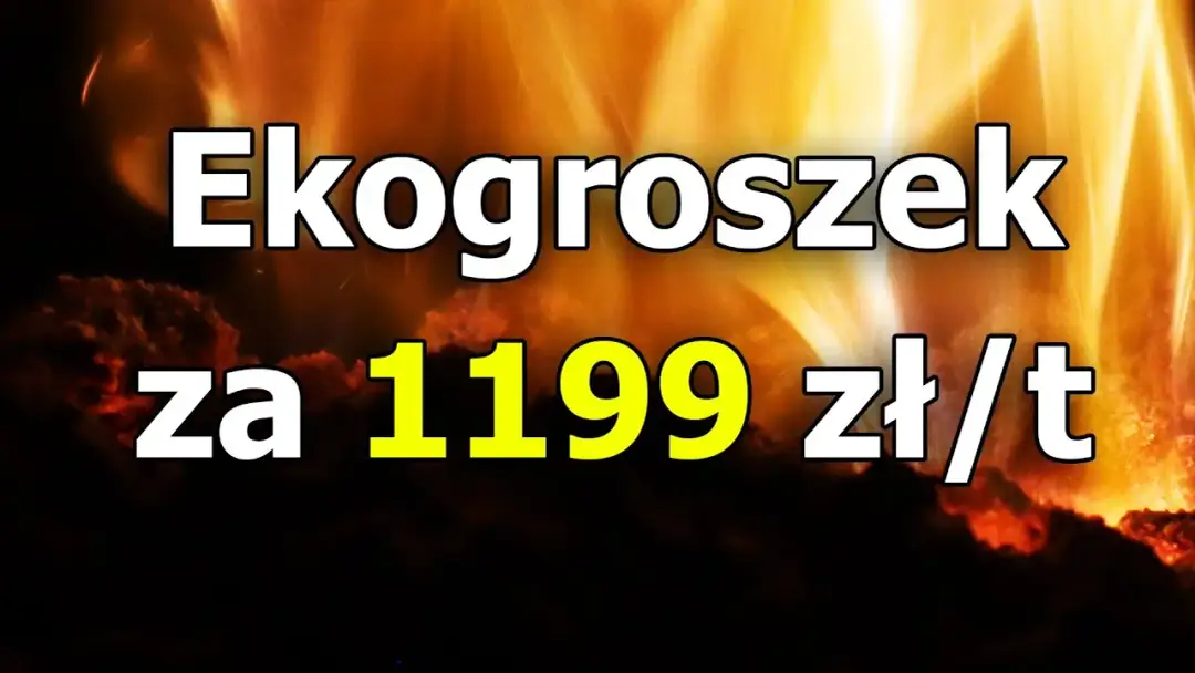 Po ile ekogroszek? Sprawdź ceny i uniknij wysokich kosztów