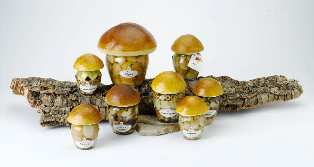 Grzyby we śnie - Odkryj tajemnicze piękno natury